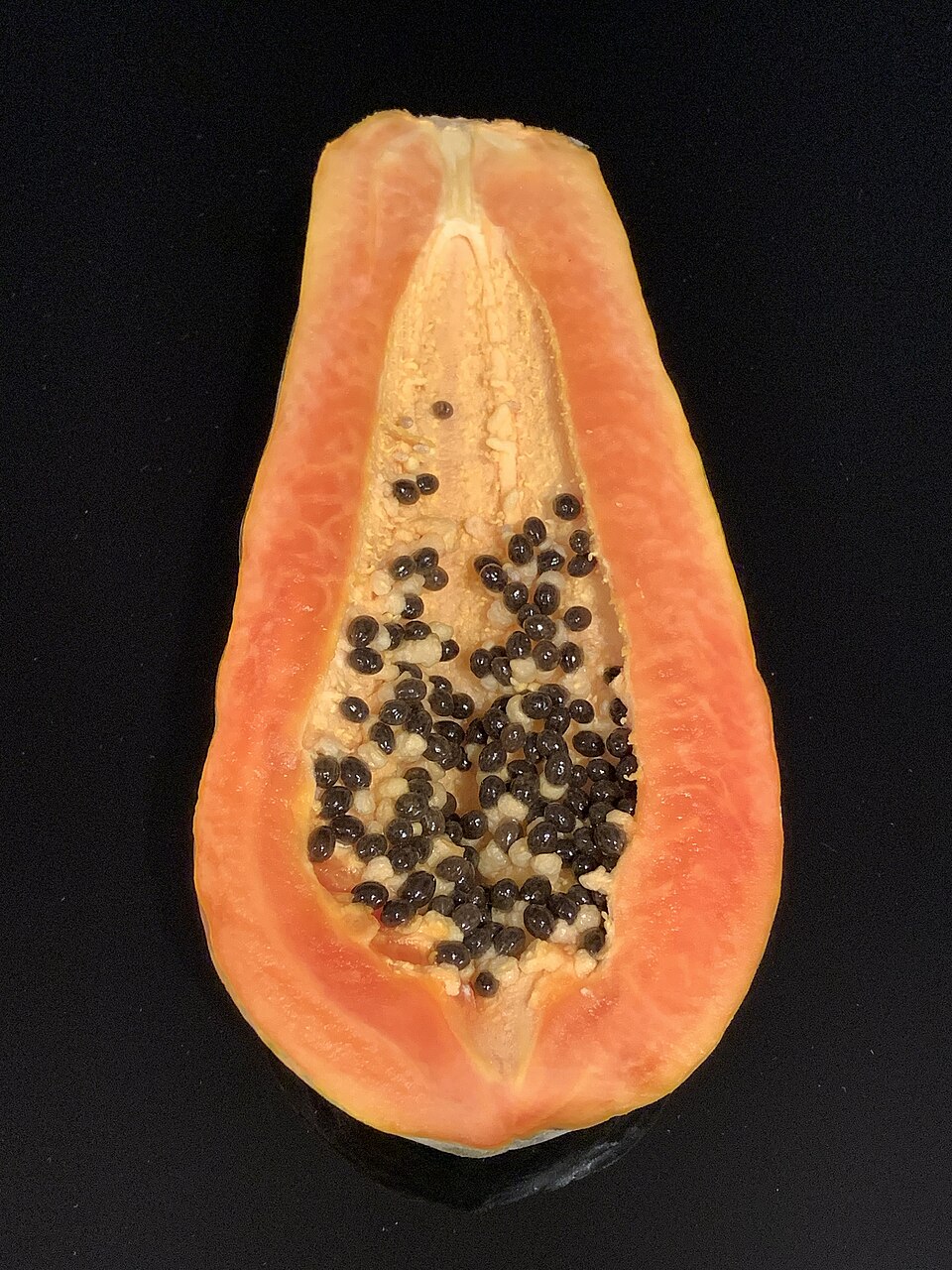 Papaya
